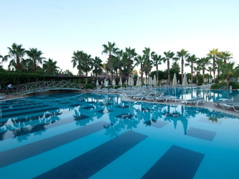 TRENDY PALM BEACH