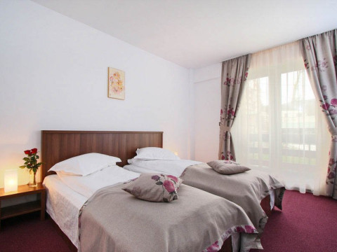 Hotel Domnitei
