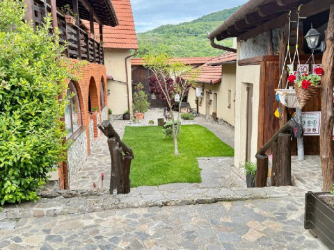 . Casa Dives Pensiune