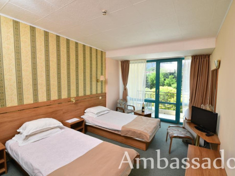 Ambassador