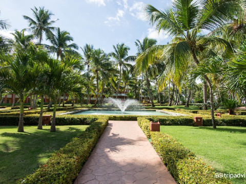 Iberostar Dominicana
