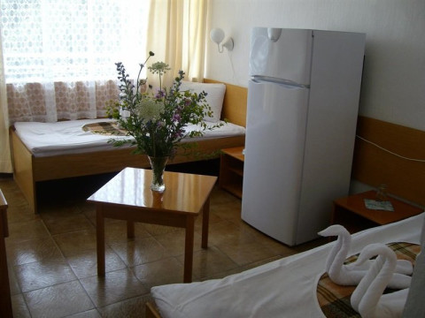 Hotel Fenix