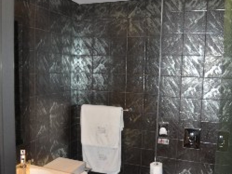 Royal Paradise Hotel (Potos)