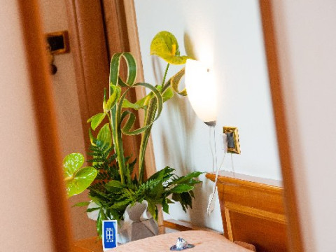 Hotel Joli Park
