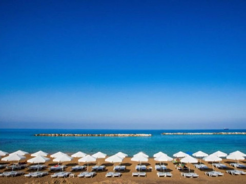 Venus Beach