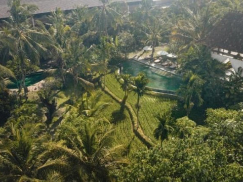 Alaya Ubud