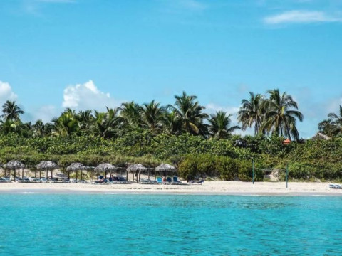 Be Live Adults Only Los Cactus