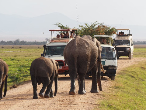 Safari Amboseli-Tsavo (3 nopti) + Diani Reef Beach (4 nopti)