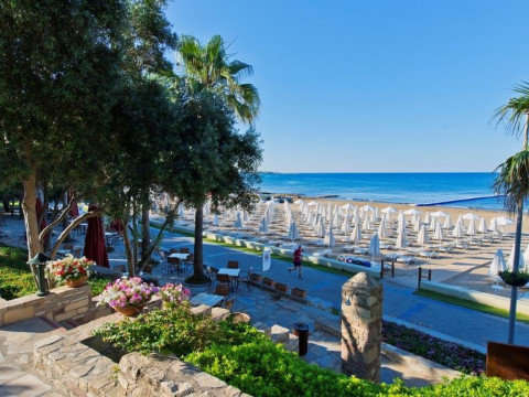 ARUM BARUT COLLECTION