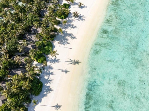Cocoon Maldives