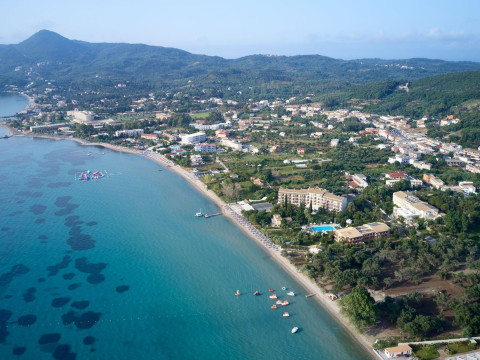 Delfinia