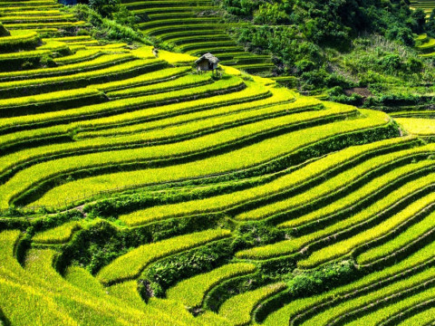 Vietnamul de la sud la nord pe bicicletă