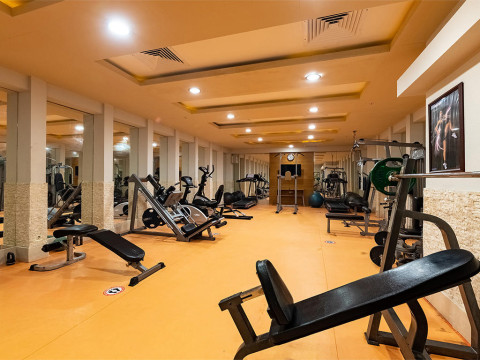 VIKING STAR HOTEL