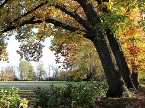Villa Doria il Torrione