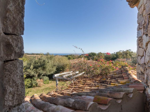 Villa Ginestra