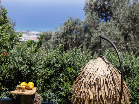 Villa Iris
