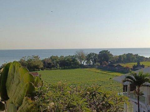 Villa Lilly