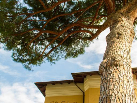 Villa Ombrosa