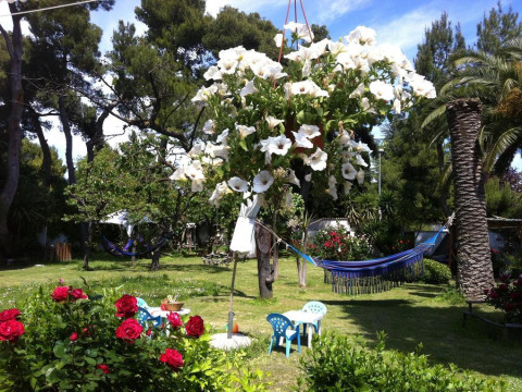 Villa Tropical