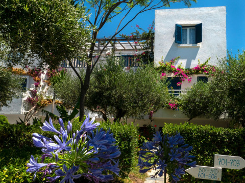 VILLEA VILLAGE