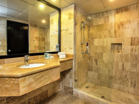 Hotel Viva Dominicus Palace by Wyndham