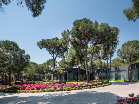 VOYAGE BELEK WINTER