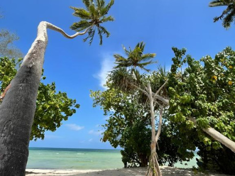 Ycona Eco-Luxury Resort