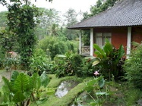 Yeh Panes Resort