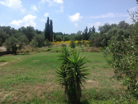 Yianetta Hotel Apartments