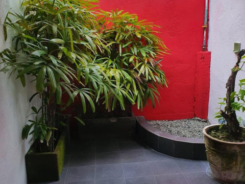 Zen Inn