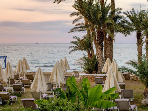Zeus Hotels Palm Beach