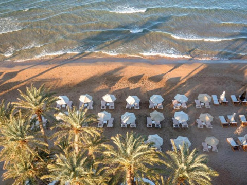 Zeus Hotels Palm Beach