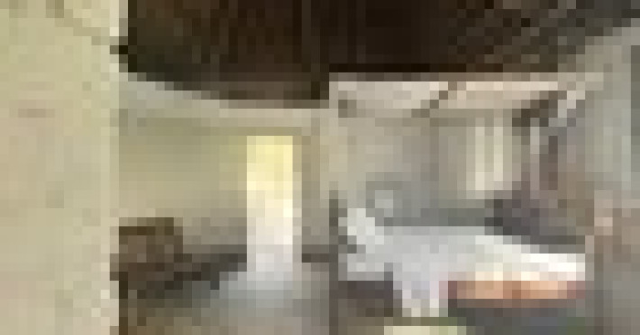 -0559126110af8290.jpeg