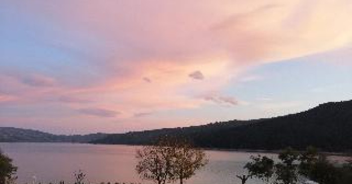 GRADINILE ROMANE CHIRITENI