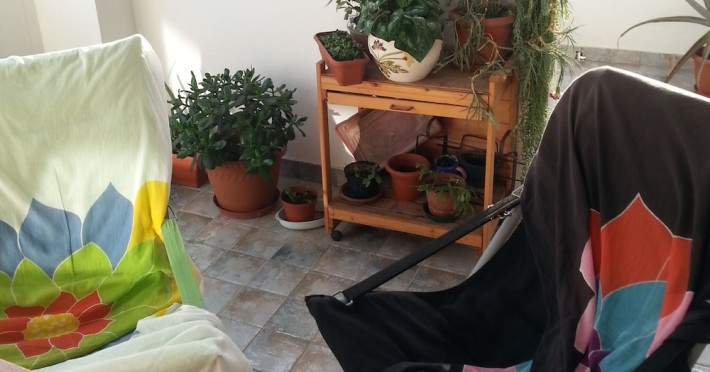 -d52fa31455a73773.jpeg