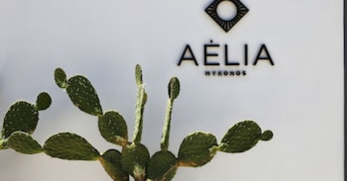 aelia-mykonos-ec121b639bee8e8d.jpeg