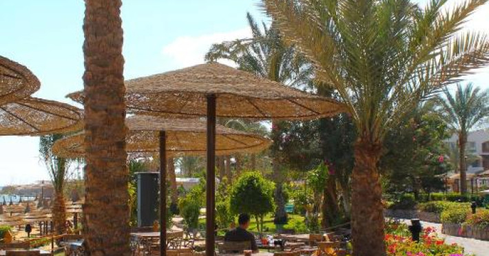 ALBATROS ROYAL GRAND SHARM (ADULT ONLY)