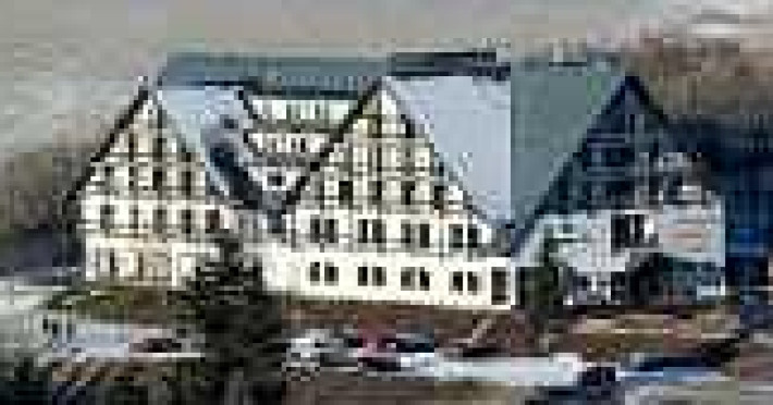 alpina-lodge-hotel-5f35d433d495368d.jpeg