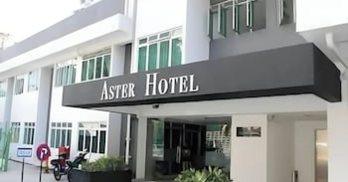 aster-6ac2c63c04de297a.jpeg