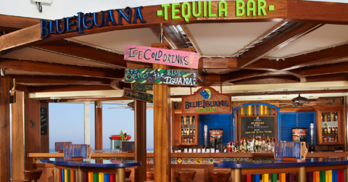 Barul Blue Iguana Tequila