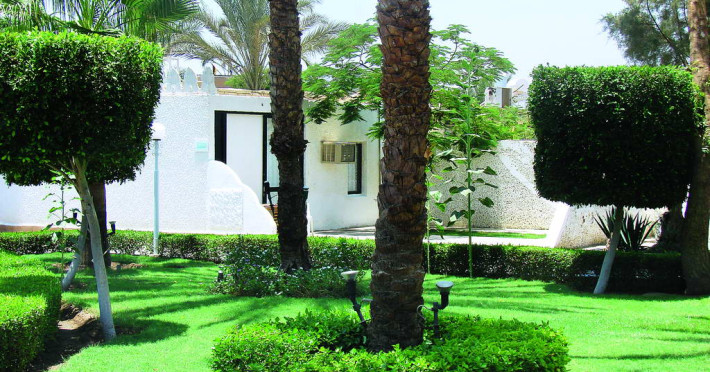 beach-albatros-resort-sharm-el-sheik-06b3749d848c42f5.jpeg