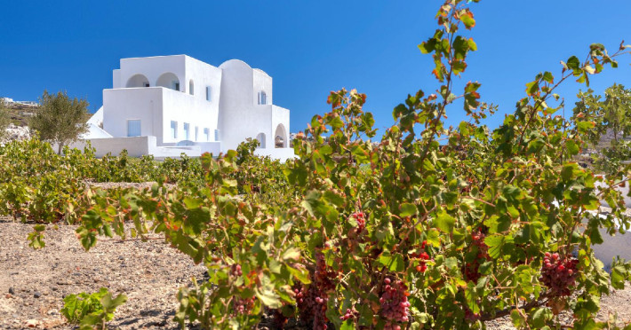 blanca-luxury-villa-12dad235079d0fb7.jpeg