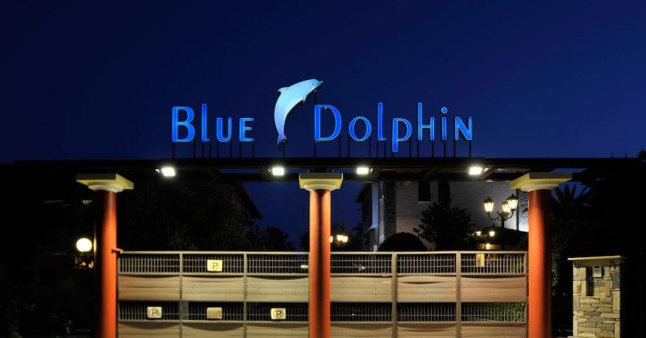 blue-dolphin-609e044ababd00ef.jpeg