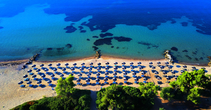 blue-dolphin-hotel-chalkidiki-c8cfa545229b3e63.jpeg