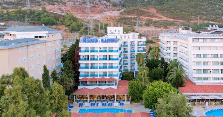 blue-fish-hotel-eb1b1524928ce5c5.jpeg