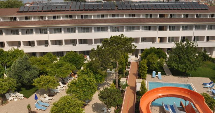 cats-garden-hotel-331511a8fff8a185.jpeg