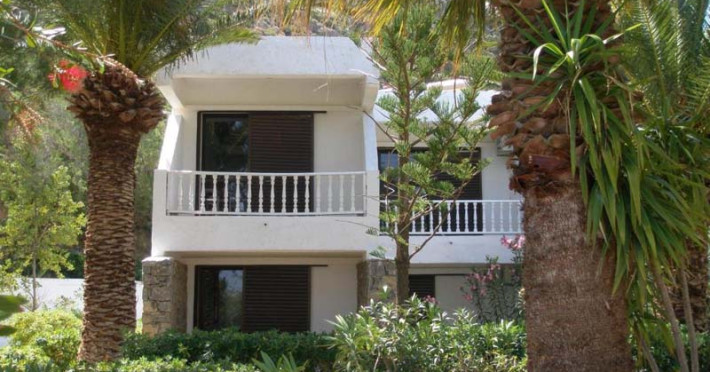 chc-avra-palm-2558d4ea0743bd00.jpeg