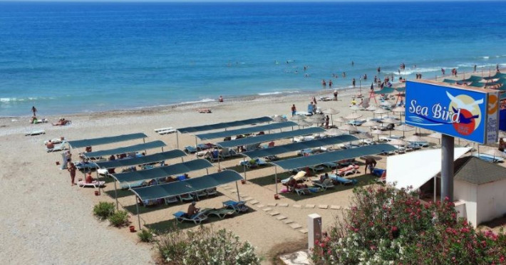 club-sun-heaven-sea-bird-beach-fb467b66d61a8dc0.jpeg