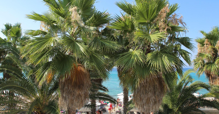 flegra-beach-boutique-apartments-042c57cf4d0fa819.jpeg