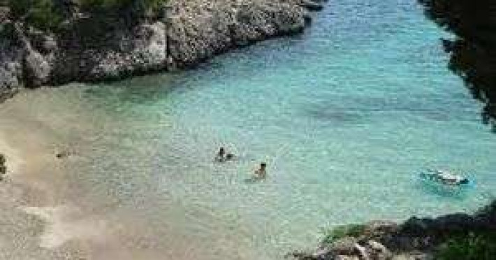 hotel-chollo-palmanova-33e487e46b9bc1ef.jpeg